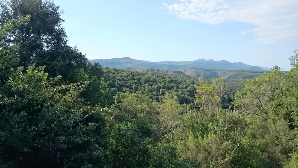 Plettenberg Bay Game Reserve: The Baroness Safari Lodge Eksteriør bilde