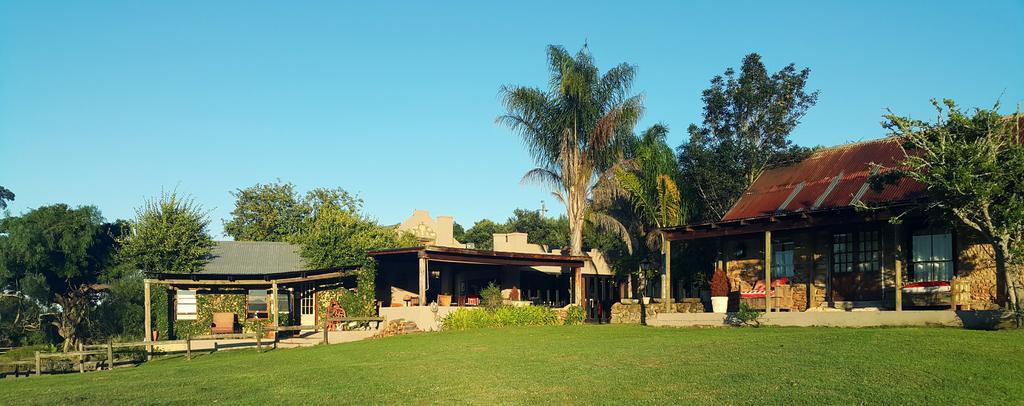 Plettenberg Bay Game Reserve: The Baroness Safari Lodge Eksteriør bilde