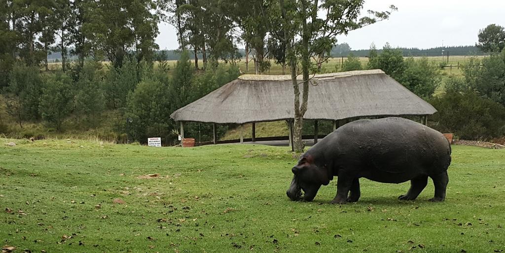 Plettenberg Bay Game Reserve: The Baroness Safari Lodge Eksteriør bilde